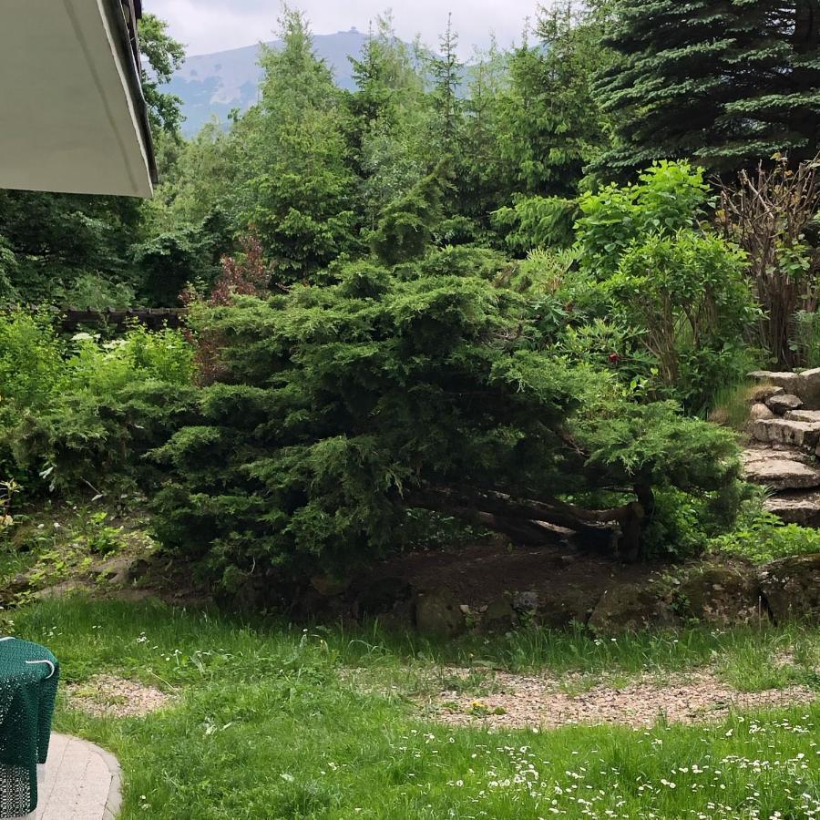 Azyl Karpacz - Kazdy Pokoj Z Wlasna Kuchnia I Lazienka Bagian luar foto