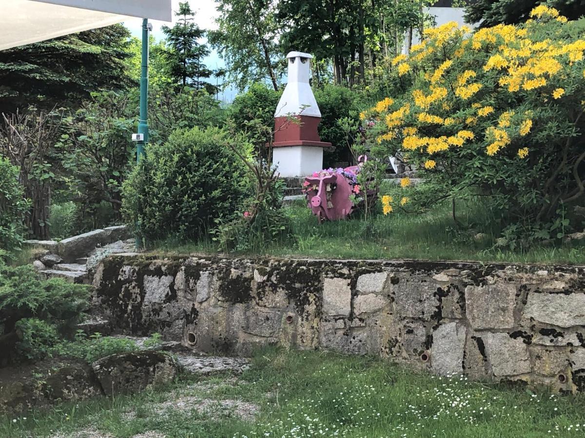 Azyl Karpacz - Kazdy Pokoj Z Wlasna Kuchnia I Lazienka Bagian luar foto