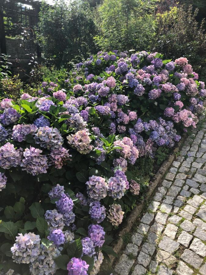 Azyl Karpacz - Kazdy Pokoj Z Wlasna Kuchnia I Lazienka Bagian luar foto
